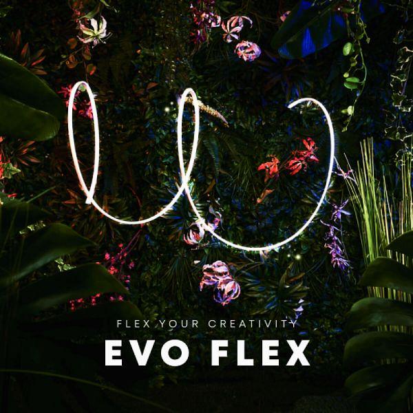 Evo Flex 3